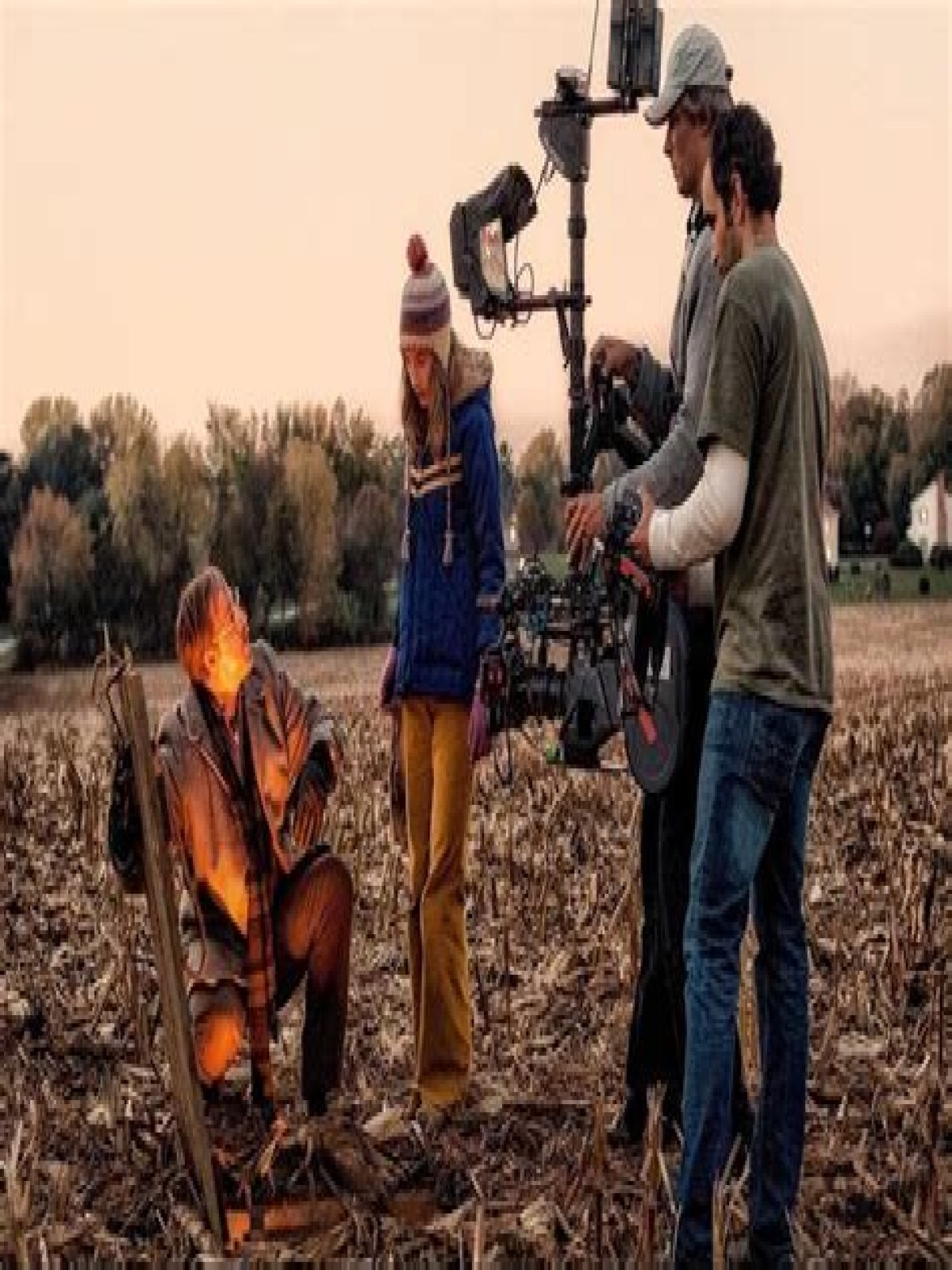 2009 drama starring Saoirse Ronan and Stanley Tucci: 3 wds.