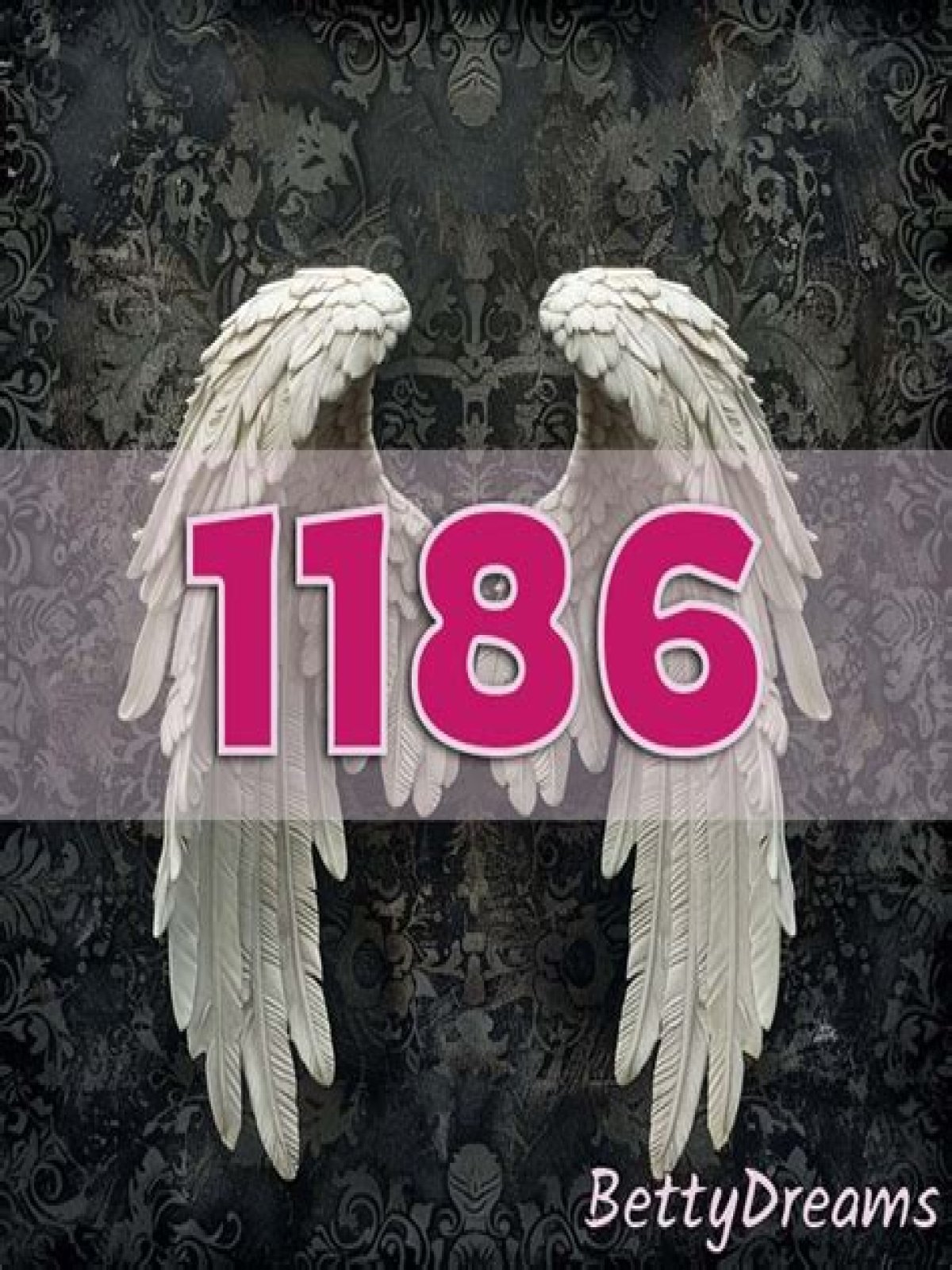 
ANGEL NUMBER 1186
