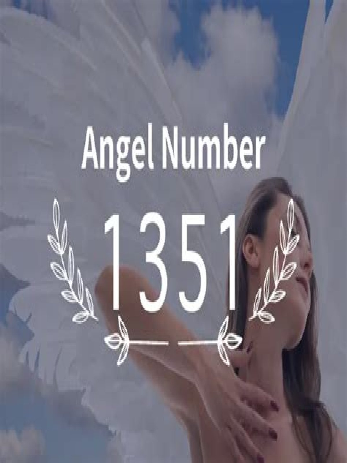 
ANGEL NUMBER 1351
