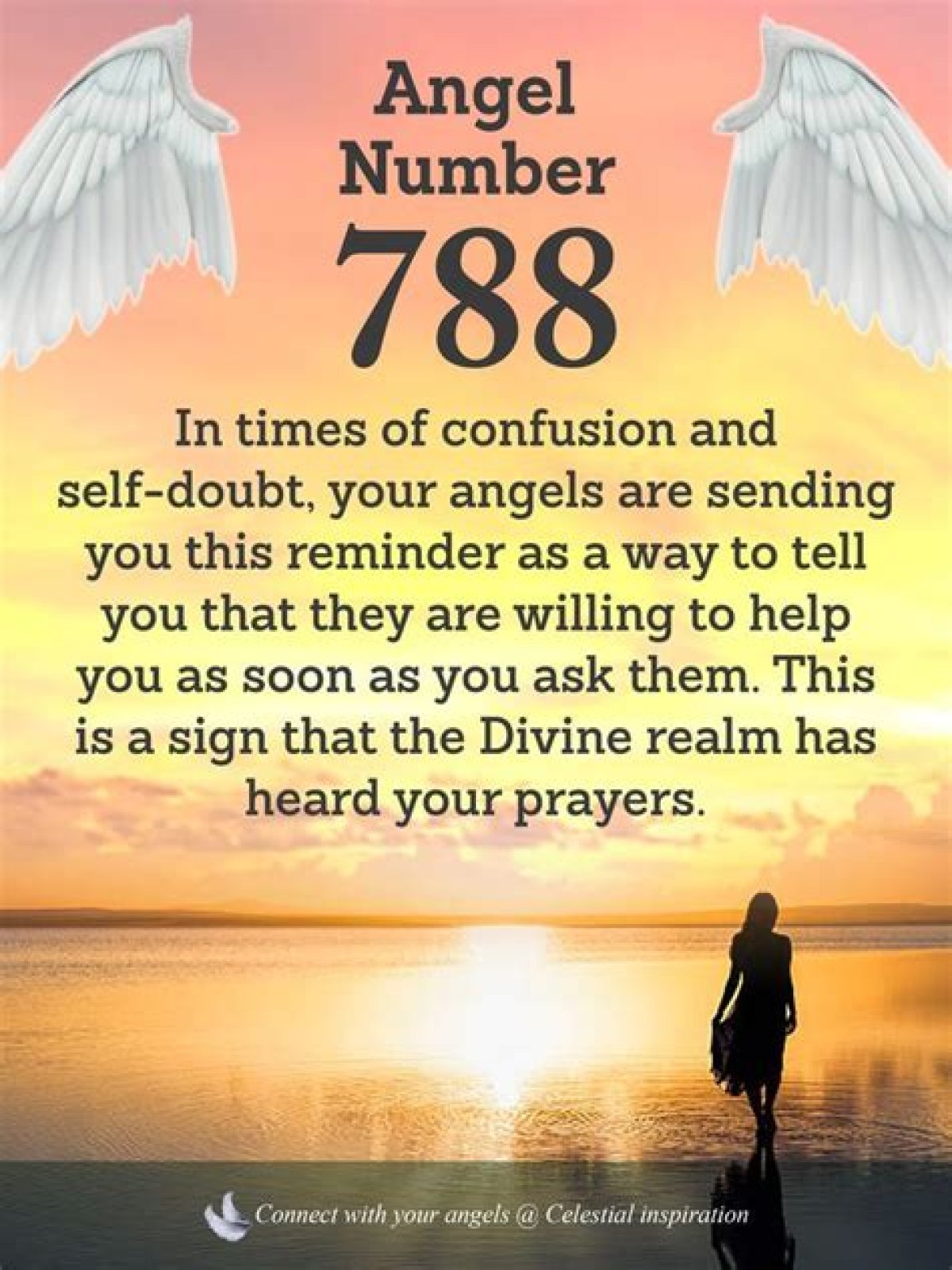 
ANGEL NUMBER 788

