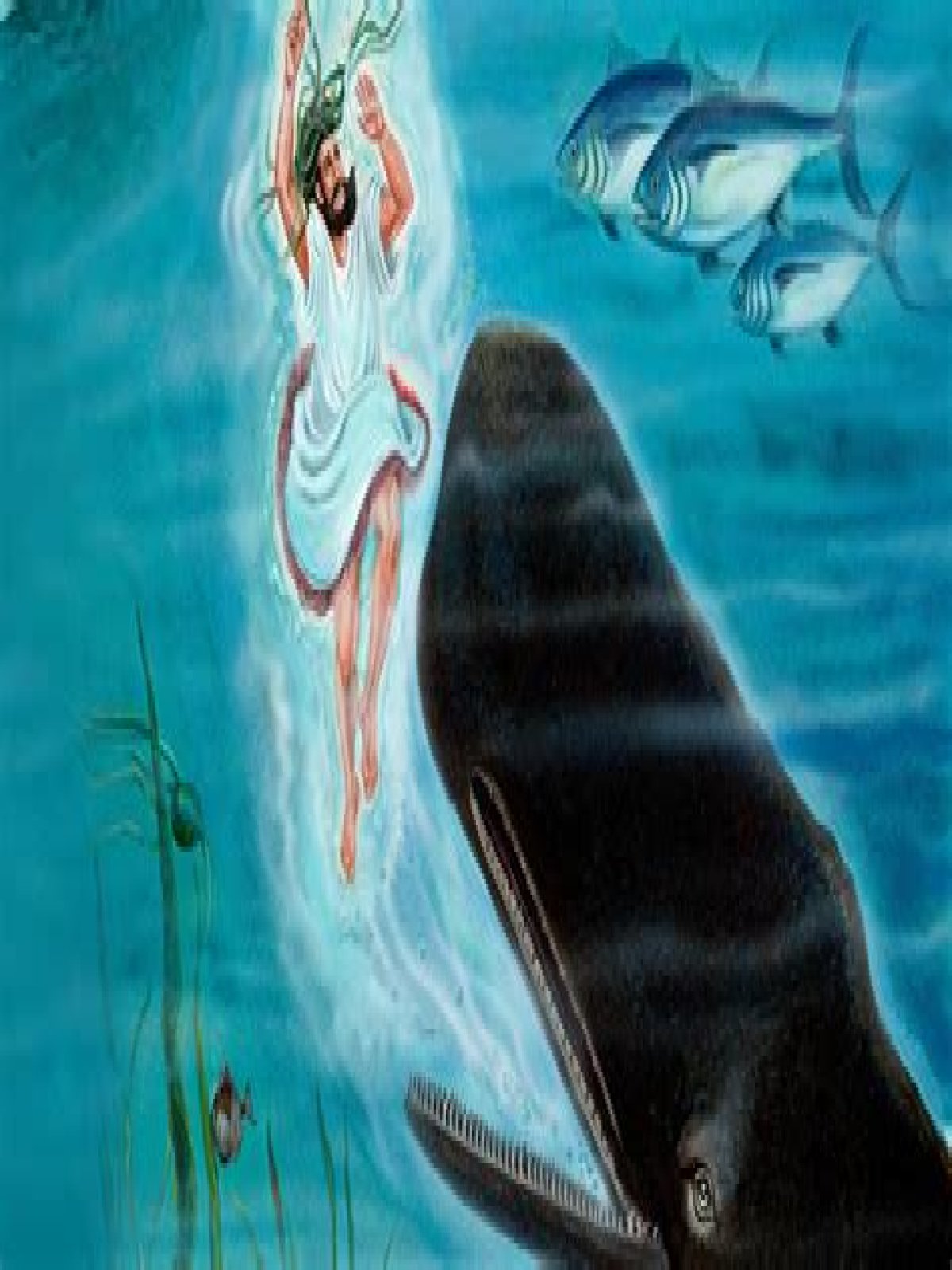Animal that swallowed Jonah in the Bible