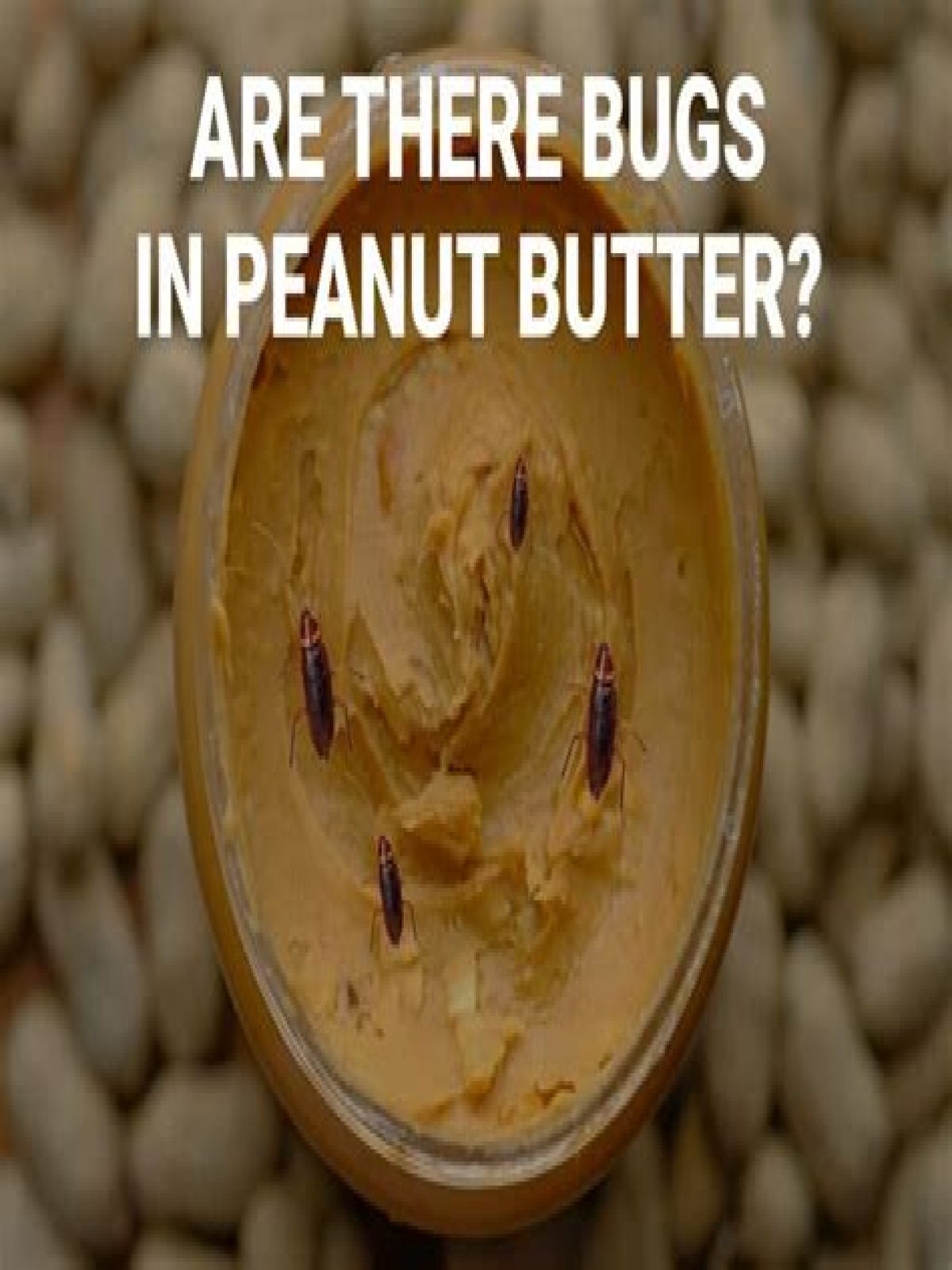 Are there bugs in peanut butter?