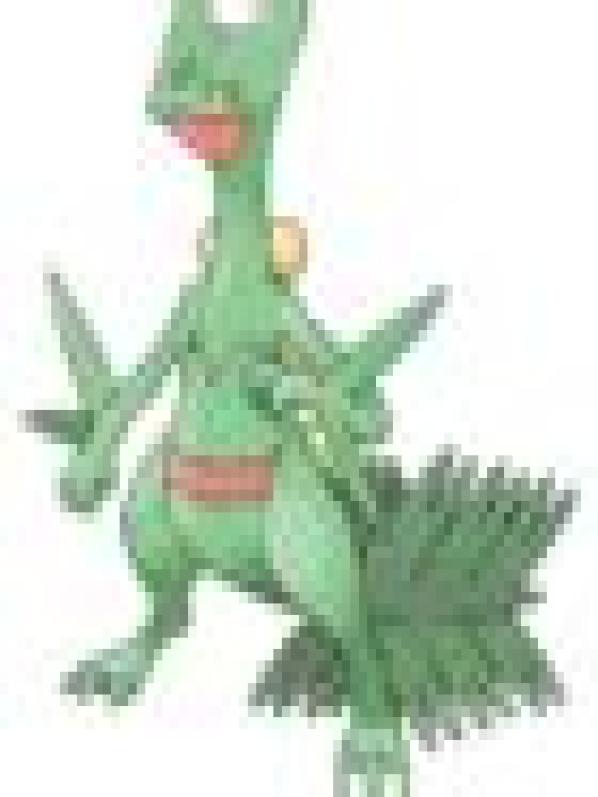 Grass (type) - Bulbapedia, the community-driven Pokémon encyclopedia