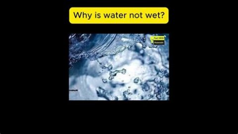 how is water not wet