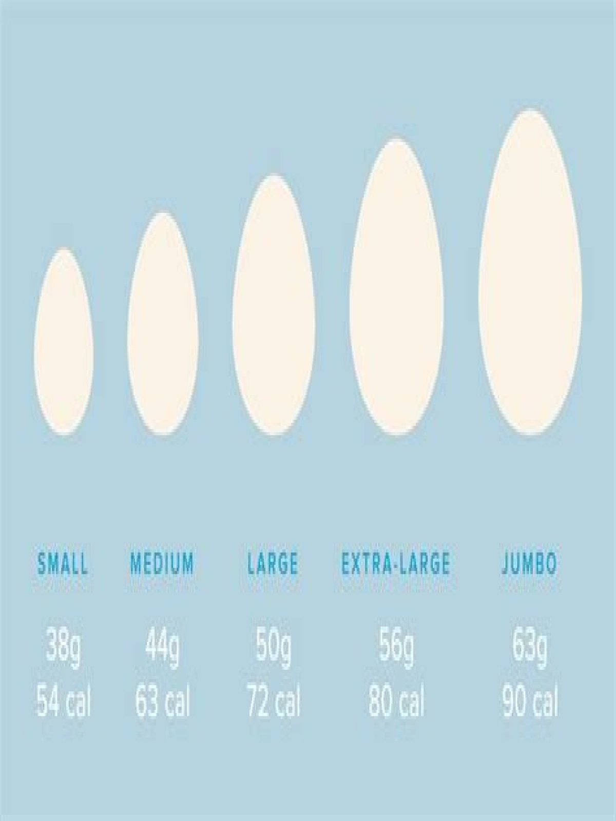 How Many Grams In A Egg