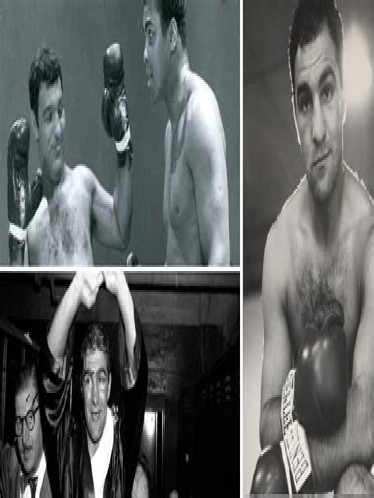 Is Rocky Dead? The Truth About the Boxing Legend’s Fate