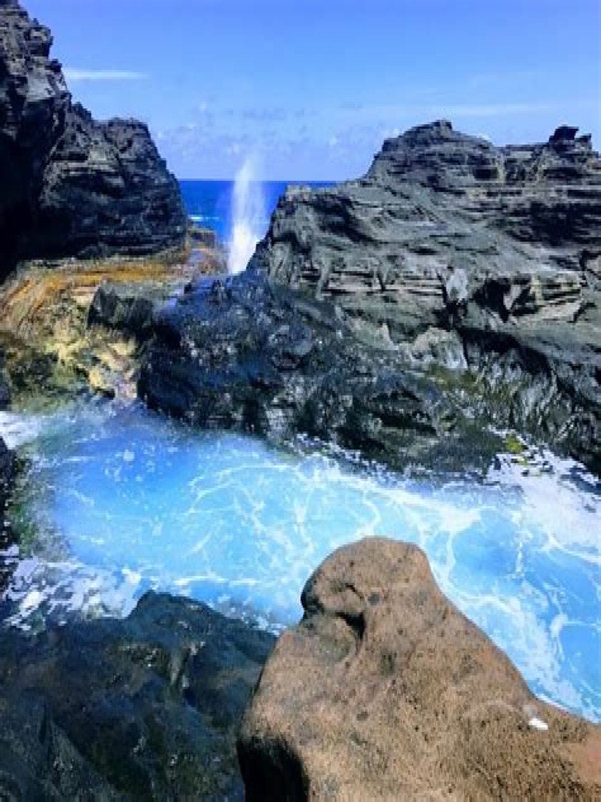 Is the Rock American Samoa