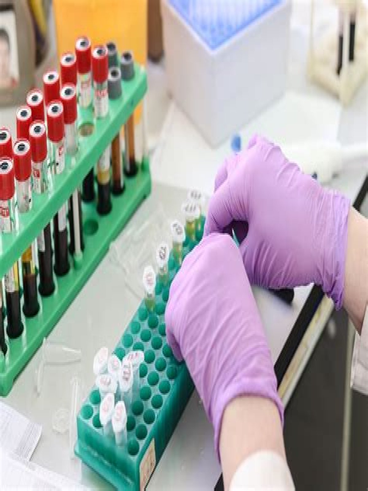 Phlebotomy Training Red Cross San Diego CA