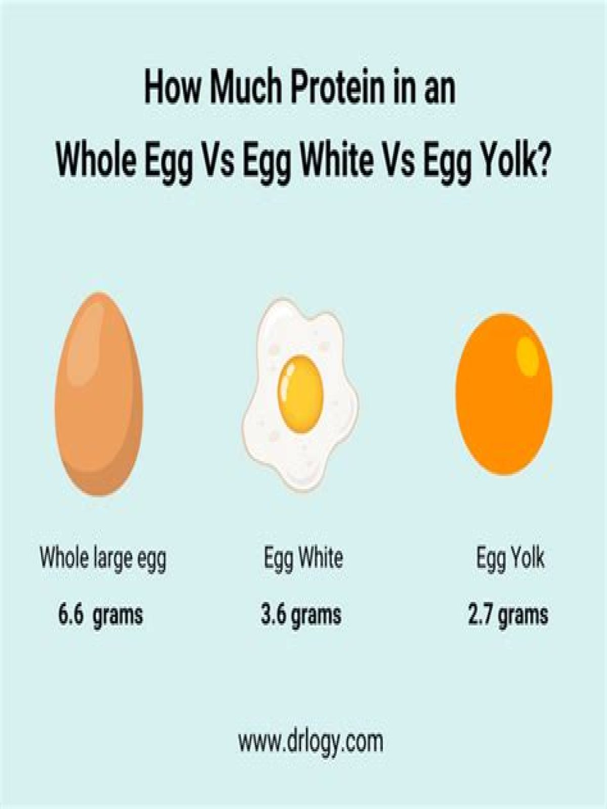 Question: How Many Grams Is One Egg White