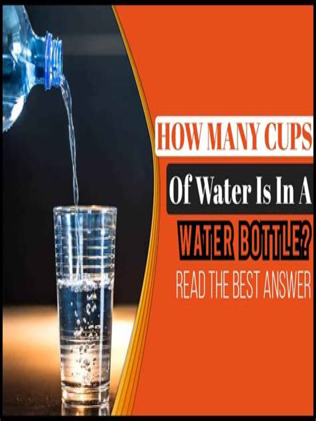 Quick Answer: How Many Cups Of Water In One Water Bottle