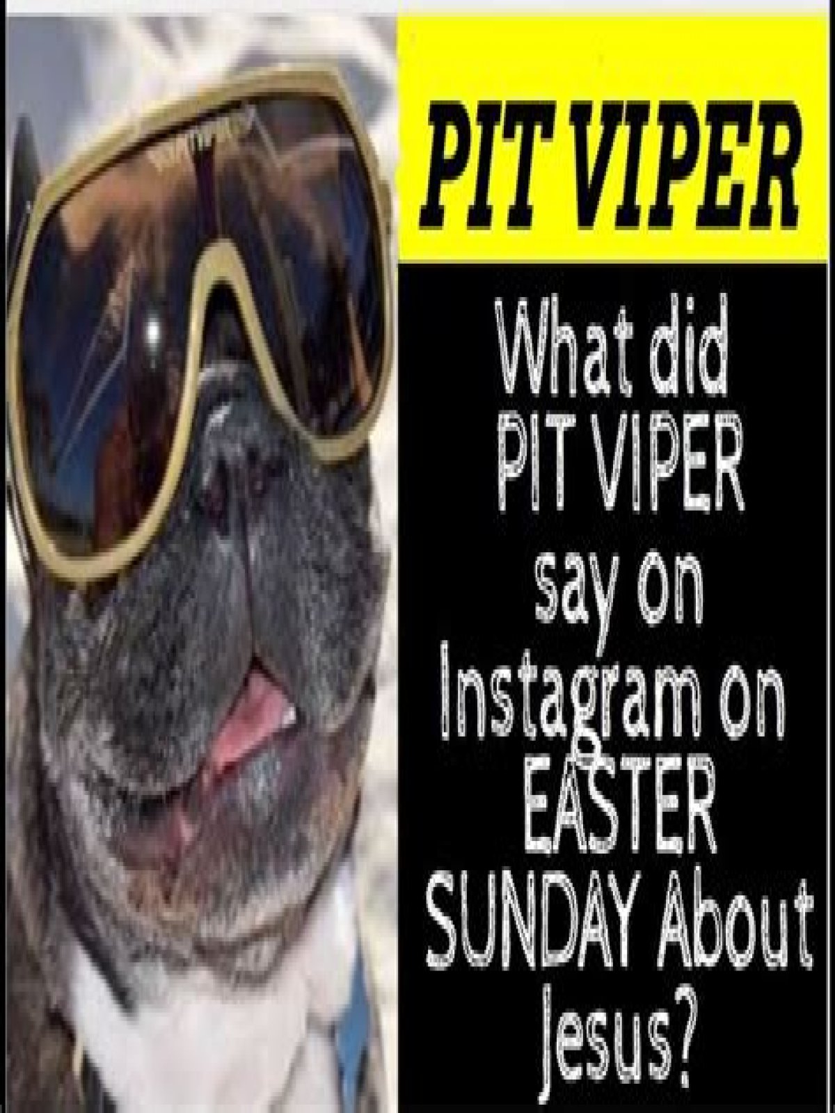 Quick Answer: What Did Pit Viper Say On Instagram On Easter