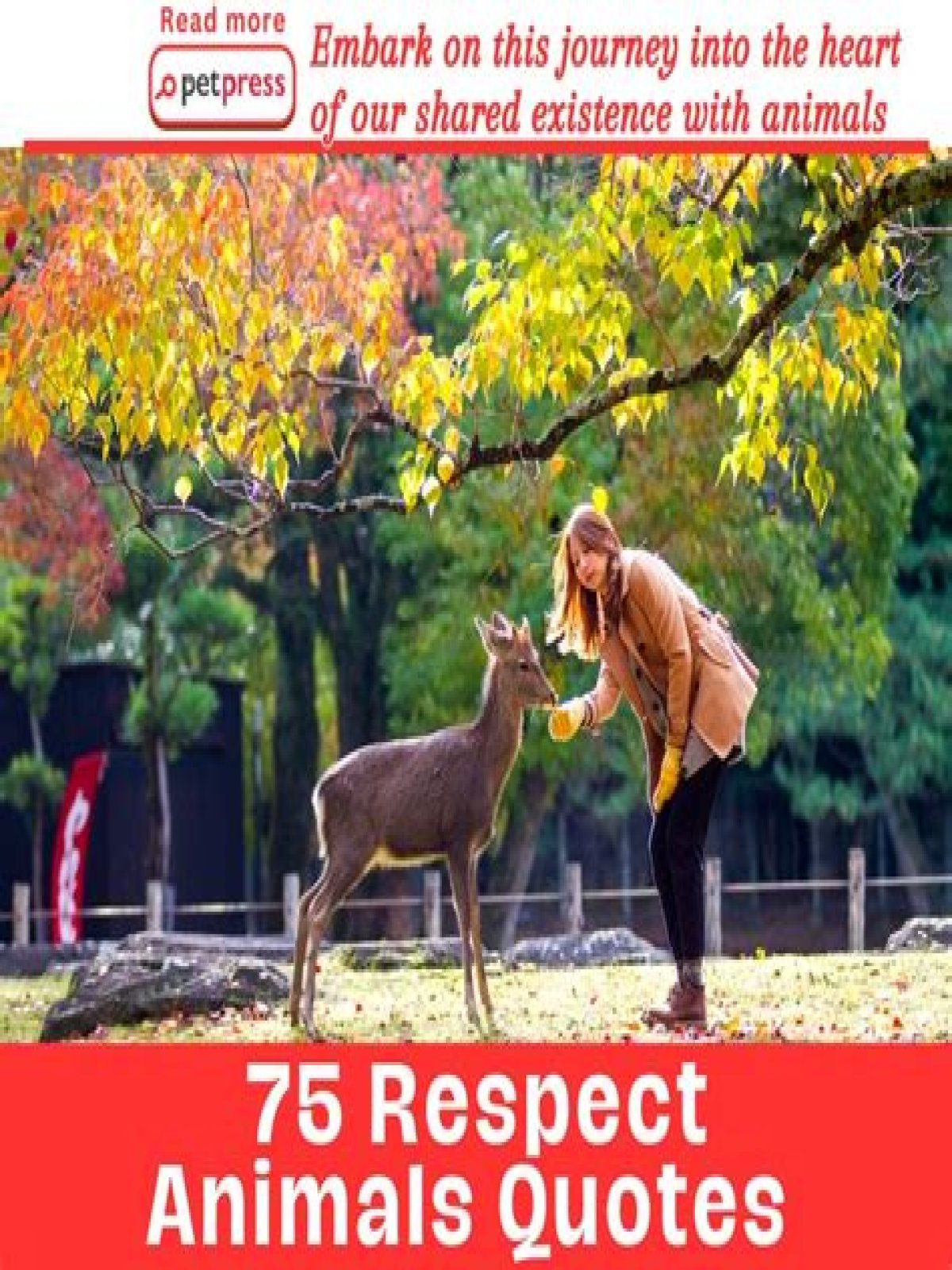 what animal represents respect - Lisbd-net.com