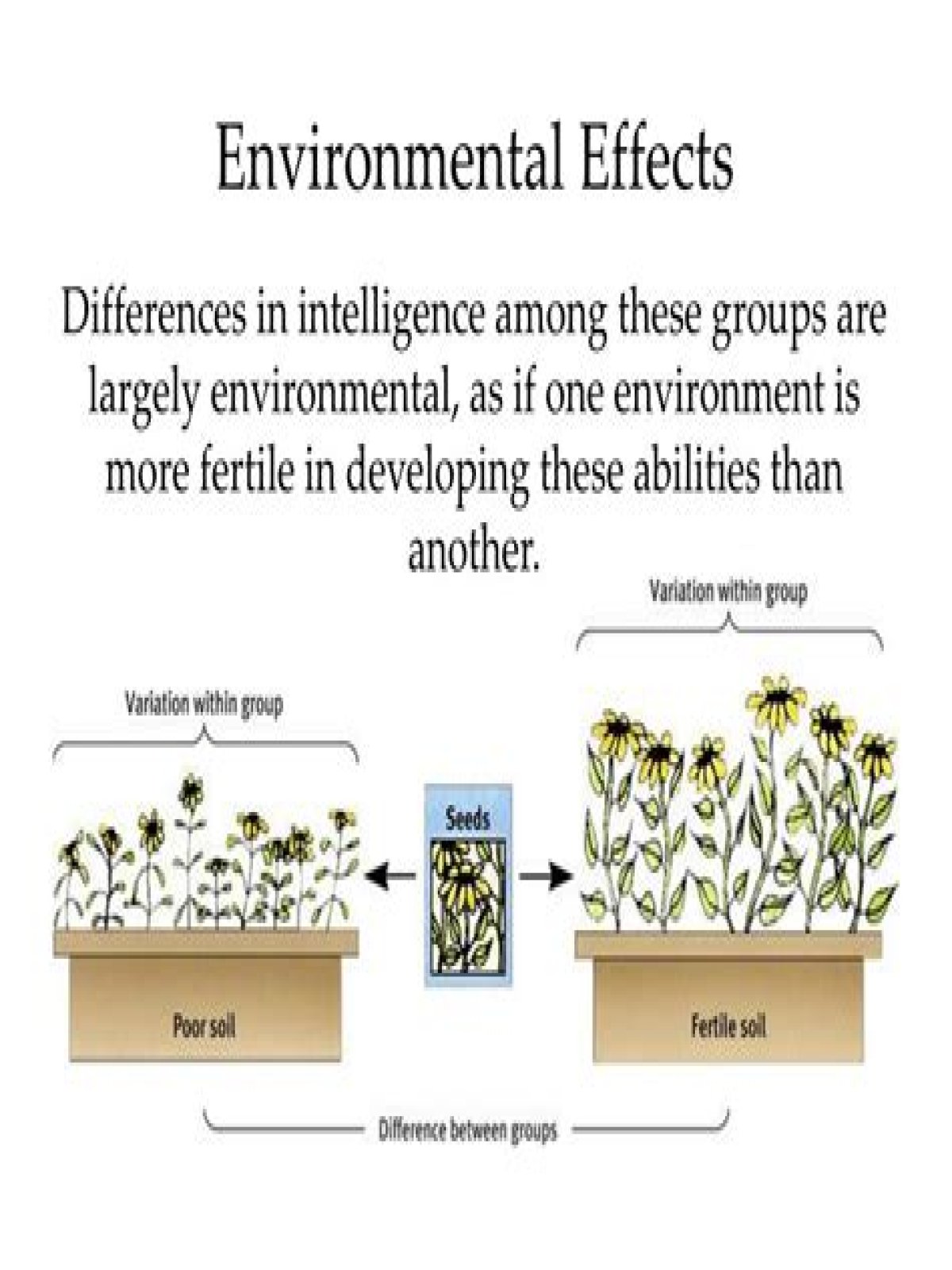 What are some environmental influences on intelligence