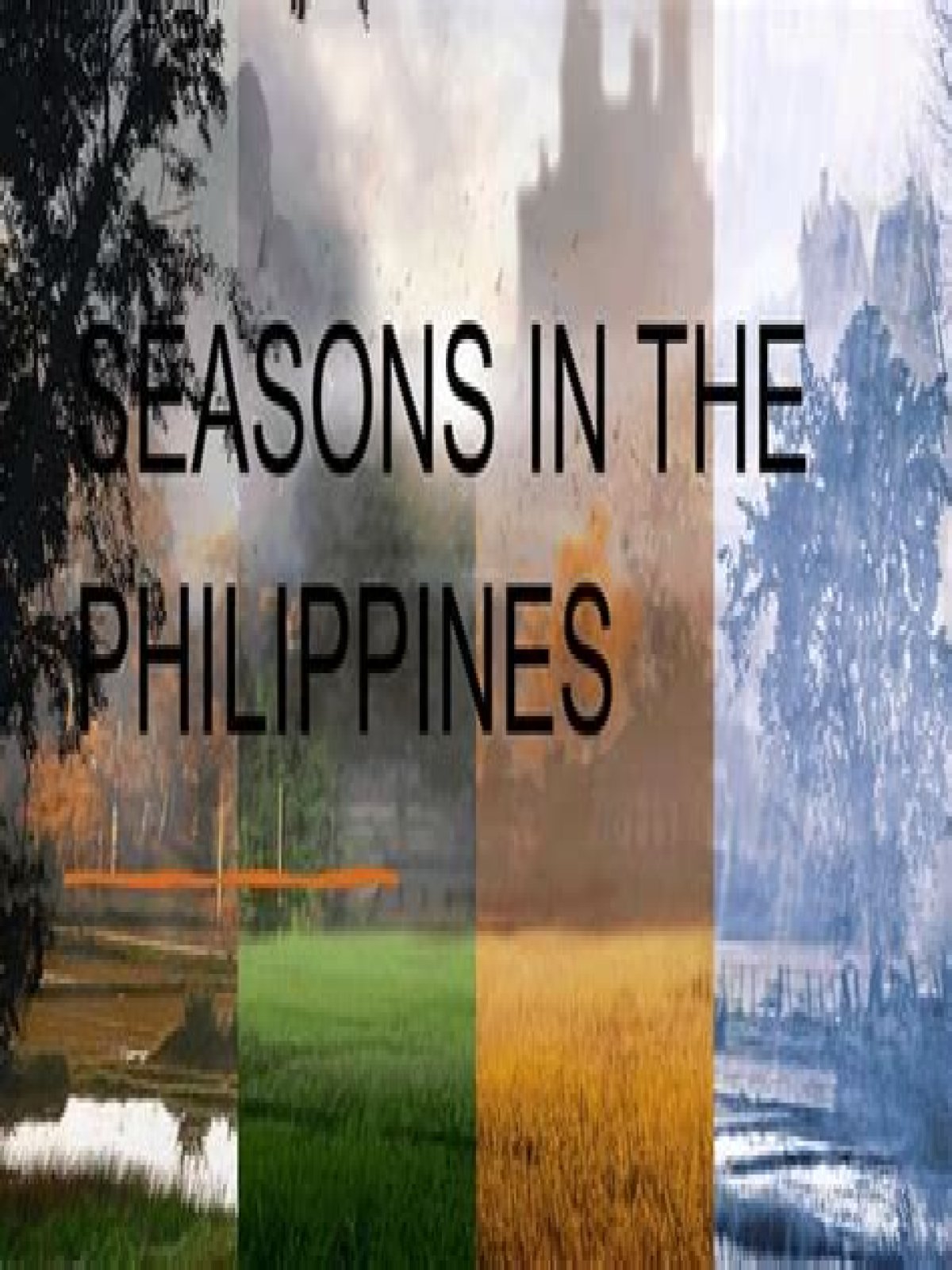 What are the 4 seasons in the Philippines? The Philippines' seasons