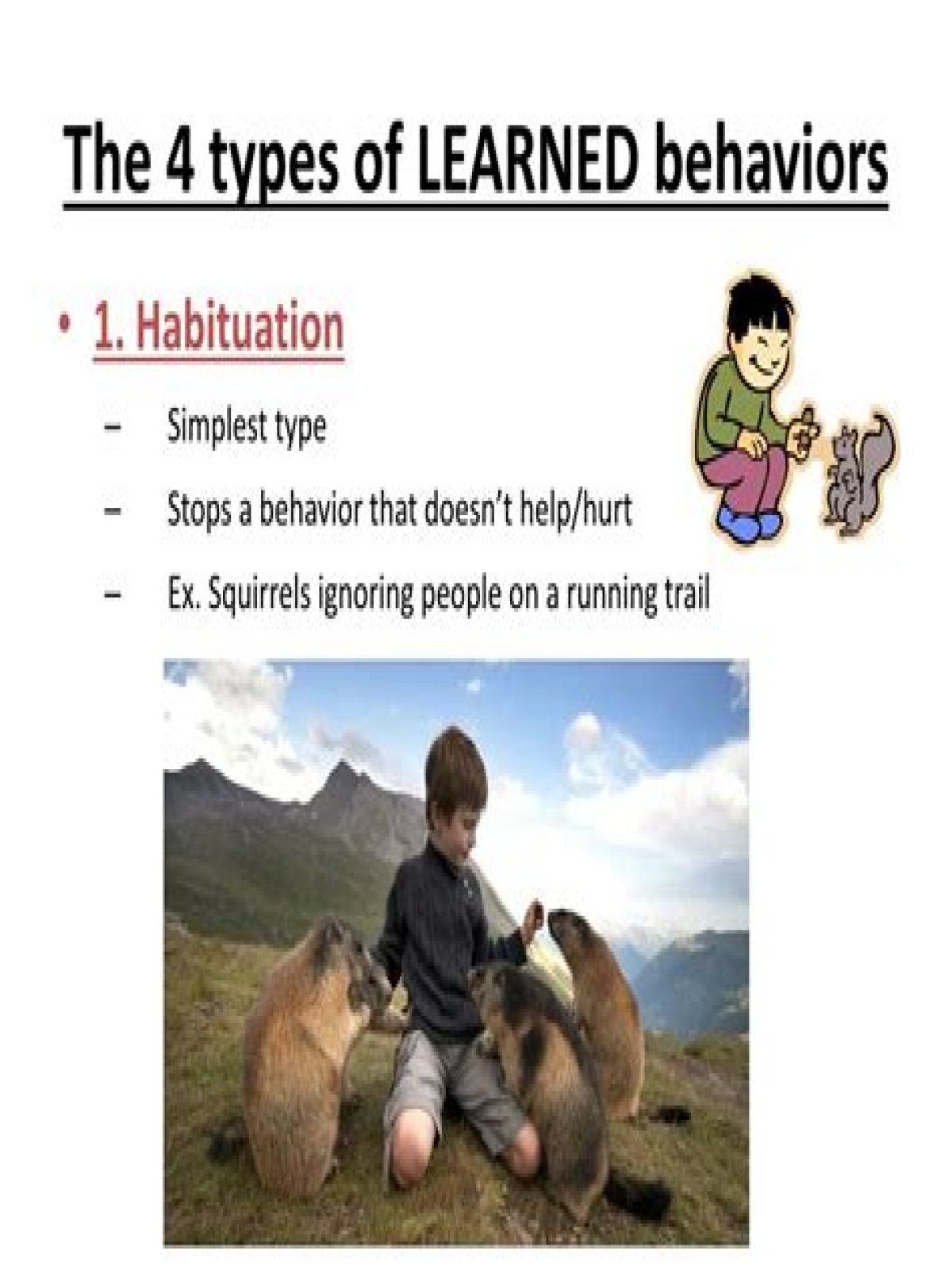 What are the 4 types of learned behavior