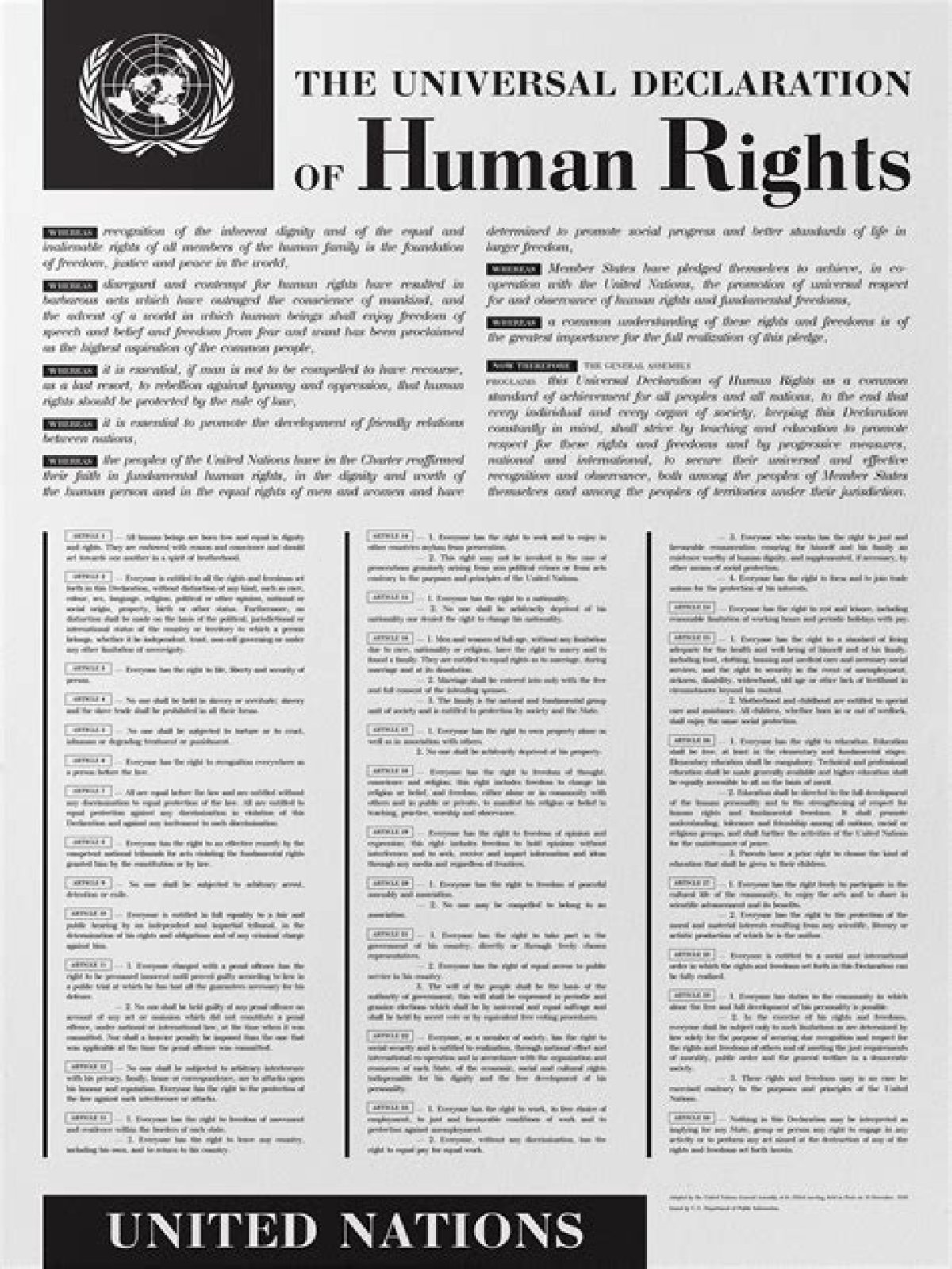 What are the articles in the Universal Declaration of Human Rights