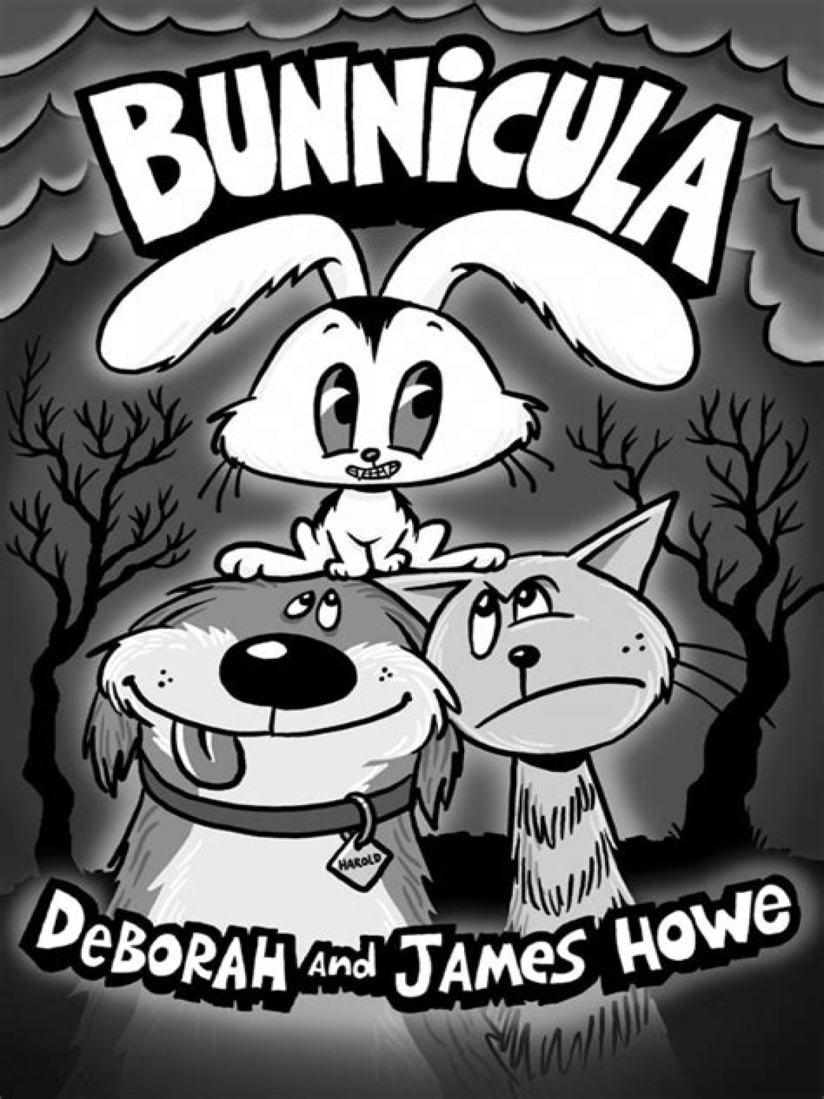 What is the theme in the book Bunnicula