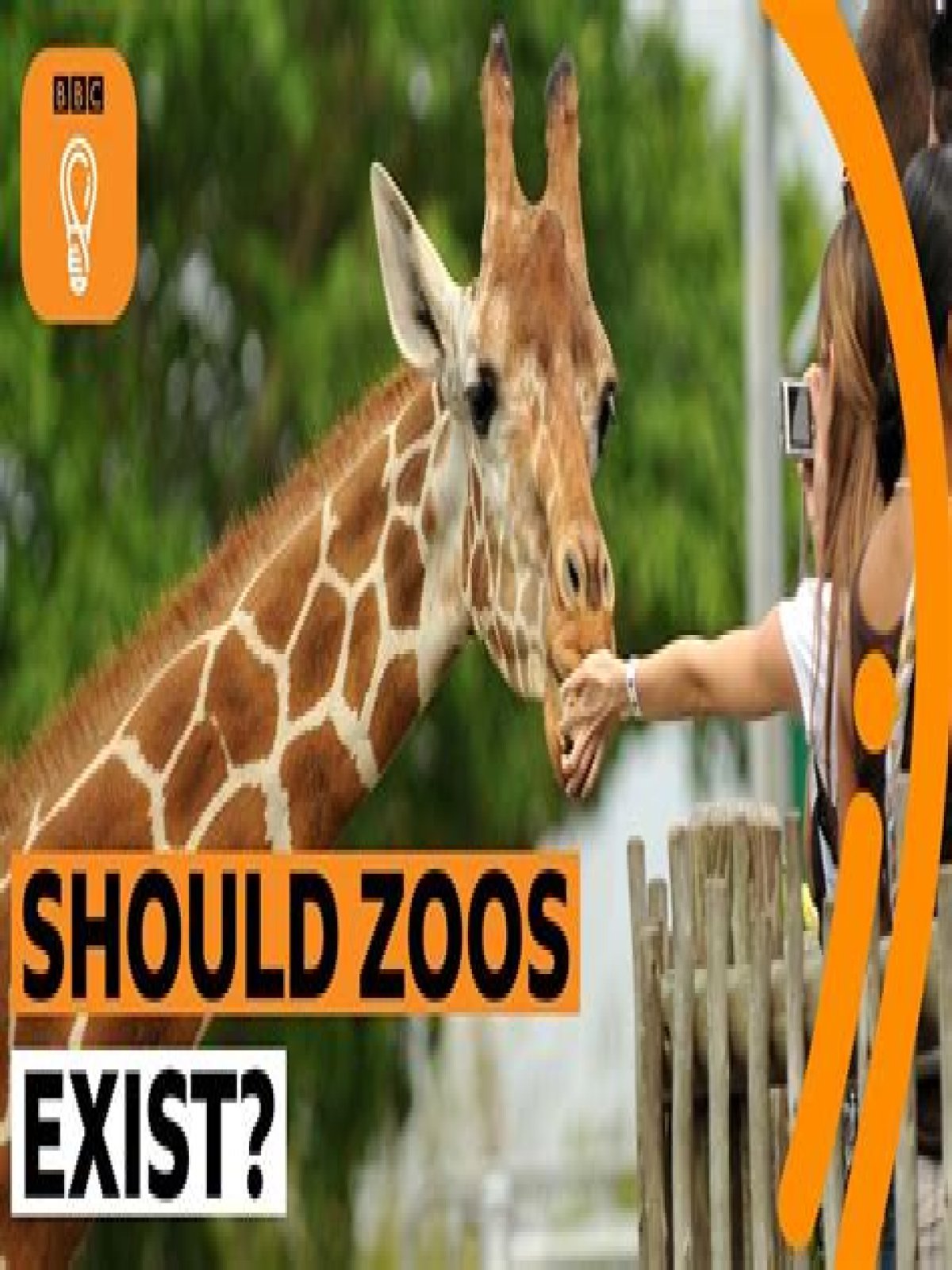 Why animals should be kept in zoos? Are zoos a good thing?